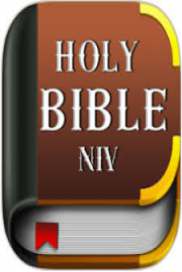 Free NIV Bible
